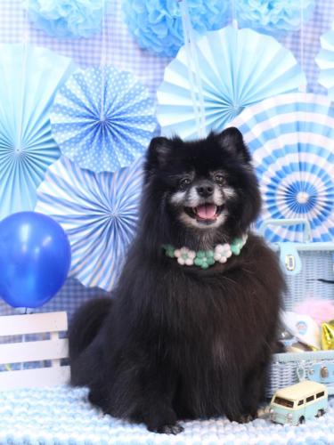 20231104ふわりちゃん